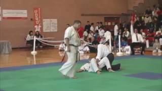 2017 WORLD OYAMA KARATE FIGHTERS CUP MENS LIGHTWEIGHT FINAL TYLER [upl. by Feer129]