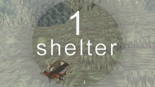 Shelter First Look  Preview Gameplay  Part 1 [upl. by Neitsirk]