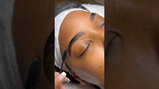 Brow Lamination Tutorial esthetician eyebrows trending sobrancelhas browlamination brows [upl. by Marrilee669]