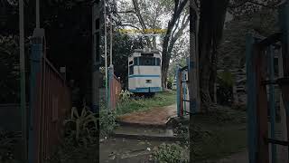 kolkata Tram now permanent nostalgia tram tramline bellringing nostalgia kolkatatram kolkata [upl. by Eve]