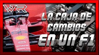 Como Funciona la caja De cambios de un f1 [upl. by Lessur]