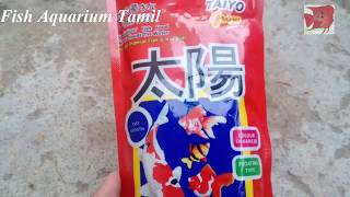 Best fish food at low cost  My aquarium food  best food for growth and color  Fish Aquarium Tamil [upl. by Neevan92]