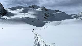 Wildspitze 3774 m Skitour Austria 🇦🇹 [upl. by Tillion]