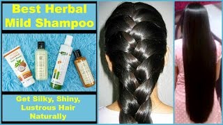 Best HERBAL amp MILD Shampoos  Natural amp Chemical Free [upl. by Enahs]