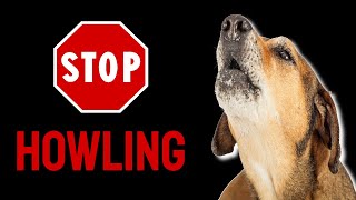 Sound To Stop Dog Howling [upl. by Rosco]