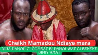 Modou lo VS Siteu humiliation dina am la cheikh Mamadou Ndiaye guiss [upl. by Ihana]