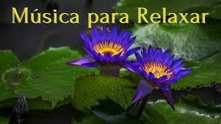 6 horas de Músicas para Relaxar a mente e o corpo [upl. by Poul320]