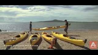 Sunset Sea Kayak tour to Rangitoto Island Auckland NZ [upl. by Caassi609]