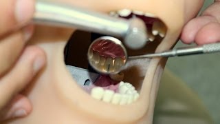 Patient and operator chair positions in Fixed Prosthodontics  Tutorial [upl. by Trinatte]