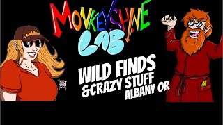 Wild Finds amp Crazy Stuff [upl. by Hunley]