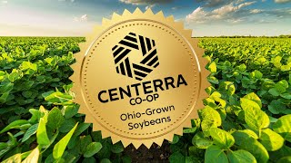 Centerra Coop Grain Export Operation [upl. by Biegel]