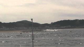 2012 JJSF PRO SKI OPEN 決勝 Round1 in 淡路島 [upl. by Annahsad]