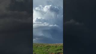 Absolutely beautiful supercell in New Mexico 😍🌪 tornadowatch [upl. by Zobe]