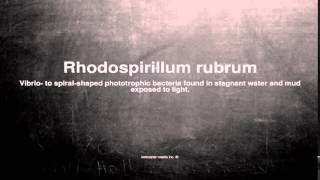 Medical vocabulary What does Rhodospirillum rubrum mean [upl. by Rozanna]