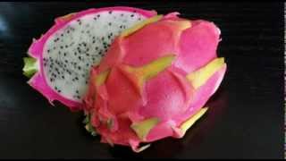 Dragon Fruit  Pitaya 01 [upl. by Palestine]