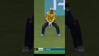 Back In 2016  Shaun Tait Fast Bowling Against Lahore Qalandars HBLPSL SportsCentral Shorts M1H1K [upl. by Shugart]