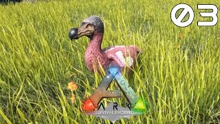 ARK Survival Evolved 3 Bezużytecznik Dodo [upl. by Eidroj]