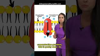 Simple vs Facilitated Diffusion Explained  Fluid amp Electrolytes shorts nursing [upl. by Delfine]