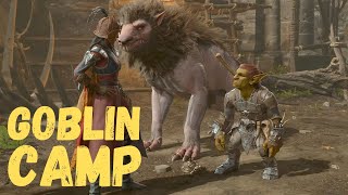 Baldurs Gate 3 Goblin Camp Walkthrough amp Guide  Completing the goblin camp is SO MUCH FUN [upl. by Nannahs]