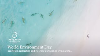 Celebrating World Environment Day 2021  Veligandu Island Resort amp Spa  Maldives [upl. by Dunstan]