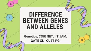 Difference between Genes and Alleles csirnet iit jam  gate  CUET PG Genetics Genes Alleles [upl. by Htiffirg60]