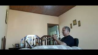 Sozinho Caetano Veloso  Cover Trompete 🎺 [upl. by Ahcsrop357]