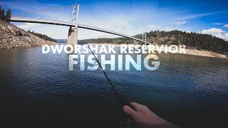 Dworshak Reservoir Fishing [upl. by Dulci]