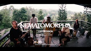 Fourtwnty  Nematomorpha Live Session [upl. by Lleder]