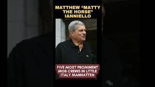 MATTY THE HORSE AND 5 MOST LEGENDARY LITTLE ITALY MOB CREWS genovesefamily [upl. by Vevina]