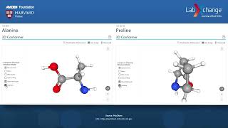 Exploring the Structure of Alanine and Proline Amino Acids [upl. by Eeluj151]