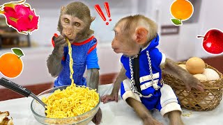 BIMBIM Monkey gathered fruit and made egg noodles for OBI MORE  Baby Monkey BIMBIM [upl. by Sascha]