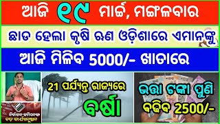 Todays breaking news odisha  Odia News  19 March 2024  kalia yojana  heavy rain in odisha [upl. by Nnylassej]