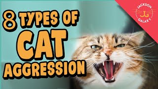 8 Types of Cat Aggression Explained [upl. by Kleeman547]