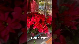 Christmas poinsettias a variety of the Christmas poinsettias Home Depot HomeDepot Poinsettia 🎄 [upl. by Nosreg425]