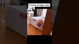 El mejor actor de todas las época tradinglatino youtube trading [upl. by Wolfie332]