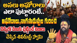 అసలు అఘోరాలు ఎలా పుట్టారంటే Agoras Life History In Telugu  Shocking Secrets Of Aghori amp Sadhus [upl. by Bertolde]