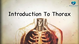 Introduction to the Thorax Key Bony Landmarks Explained [upl. by Akedijn726]