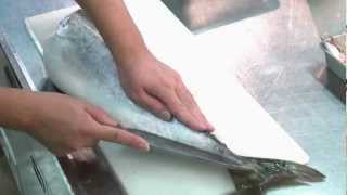 ハマチ（ブリ）のさばき方 姿造り編 How to cook hamachi yellowtail sashimi sugatatukuri Japanese food [upl. by Kulseth]