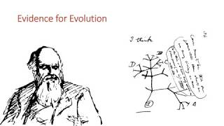 Evidence for Evolution [upl. by Anson]