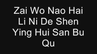 Qing Fei De Yi by Harlem Yu Lyrics PINYIN [upl. by Aitak]