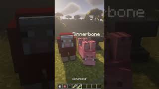 Minecraft Name Tag Easter Eggs [upl. by Collie519]