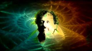 Terence McKenna  Exploring the Abyss 12 [upl. by Hearsh229]