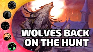 🔴🟢This is a Game Changer For Werewolves  MTG Arena Ixalan Standard Aggro Deck List [upl. by Aina]