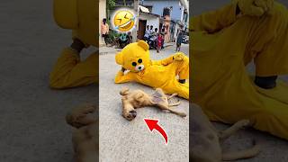 Teddy 🧸with Dog🐕🤣……funnyshorts comedy teddybear [upl. by Sirtemed786]