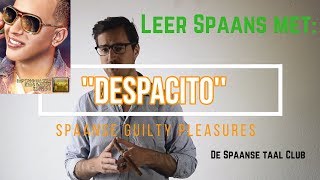 Despacito met teksten in het Nederlands om Spaans te leren [upl. by Ettenna208]