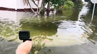 Marina Drive Holmes Beach Florida is flooded from Hurricane Idalia [upl. by Teleya957]