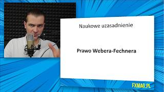 Skala logarytmiczna czy arytmetyczna  5 Kurs Analizy Technicznej [upl. by Nyloj]