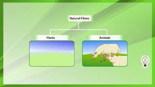 Natural fibres and synthetic fibres [upl. by Ninnette494]