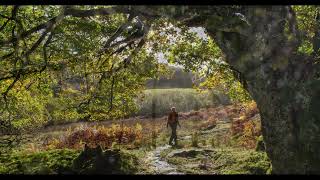 Autumn in Gwydir Forest [upl. by Farlay]