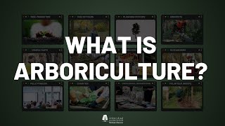 What is Arboriculture [upl. by Jacenta768]